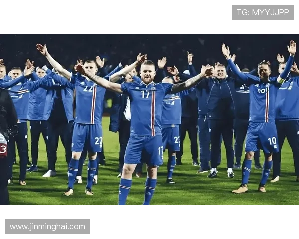 冰岛足球明星专访揭秘背后的故事与梦想